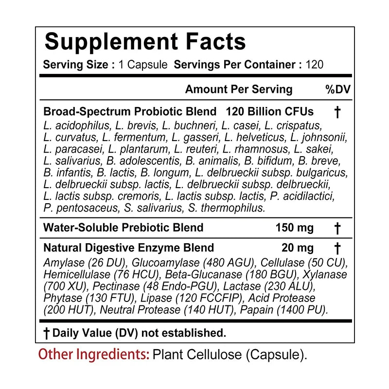 Probiotiques + Prébiotiques + Enzymes Digestives - Favorisent la Flore Intestinale la Santé Digestive des Femmes et des Hommes et Fournissent une Énergie Durable
