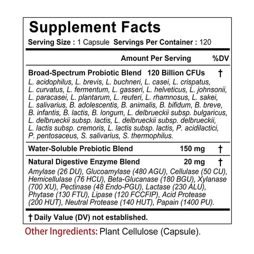 3-in-1 Probiotics 120 Billion CFU | Prebiotics & Digestive Enzymes for Gut Health