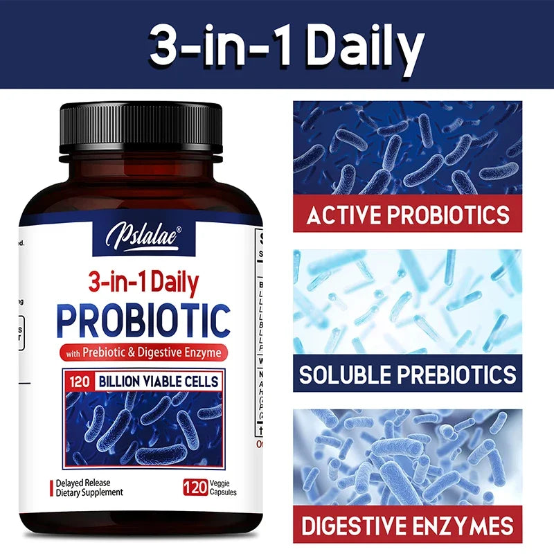 Probiotiques + Prébiotiques + Enzymes Digestives - Favorisent la Flore Intestinale la Santé Digestive des Femmes et des Hommes et Fournissent une Énergie Durable