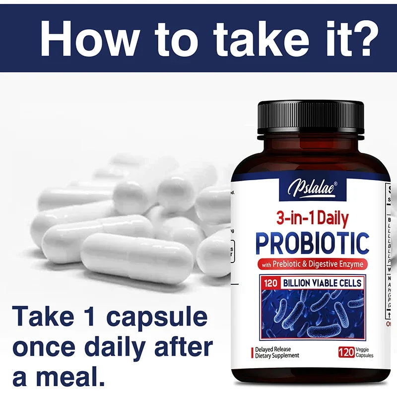 Probiotiques + Prébiotiques + Enzymes Digestives - Favorisent la Flore Intestinale la Santé Digestive des Femmes et des Hommes et Fournissent une Énergie Durable