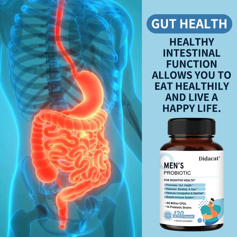 Probiotiques de Lactobacillus pour hommes Enzymes digestives et fibres prébiotiques Santé digestive plus efficace Santé immunitaire intestinale