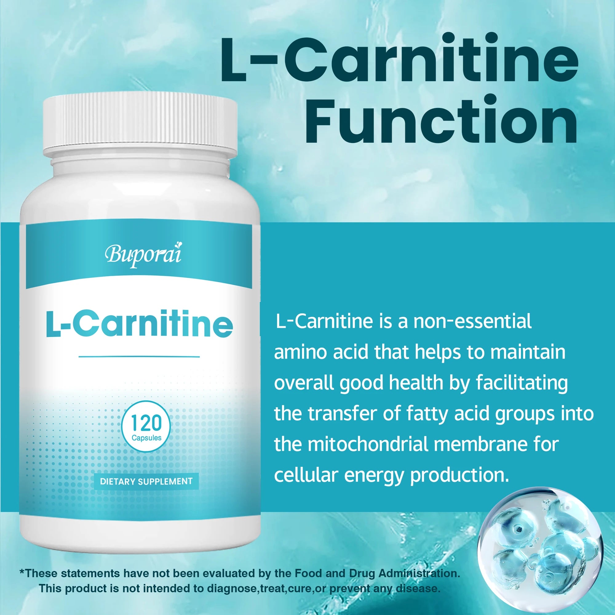 L-Carnitine - Brûle-graisse, Soutient l'énergie, Développe les muscles, Favorise le métabolisme, Améliore la mémoire et la concentration - 120 Gélules