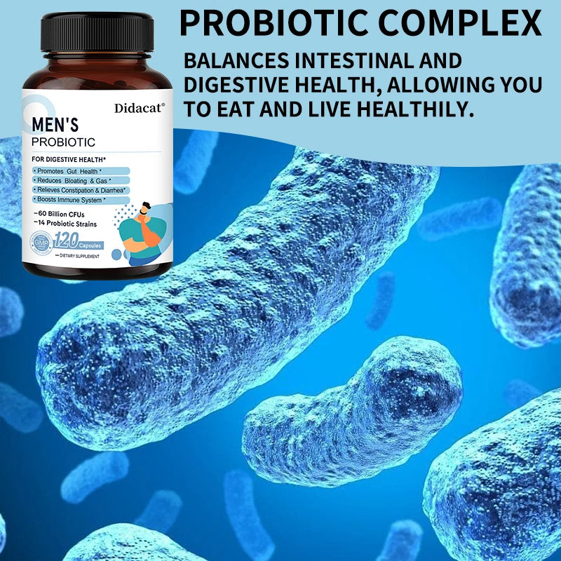 Probiotiques de Lactobacillus pour hommes Enzymes digestives et fibres prébiotiques Santé digestive plus efficace Santé immunitaire intestinale