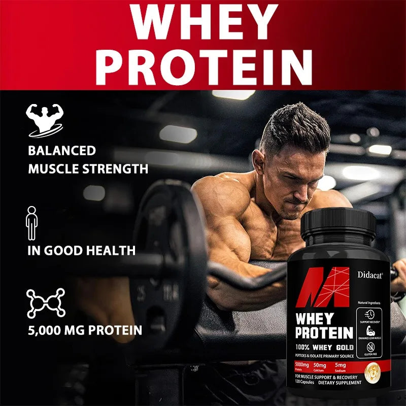 High potency whey protein capsules as a natural protein supplement to maintain an active lifestyle.