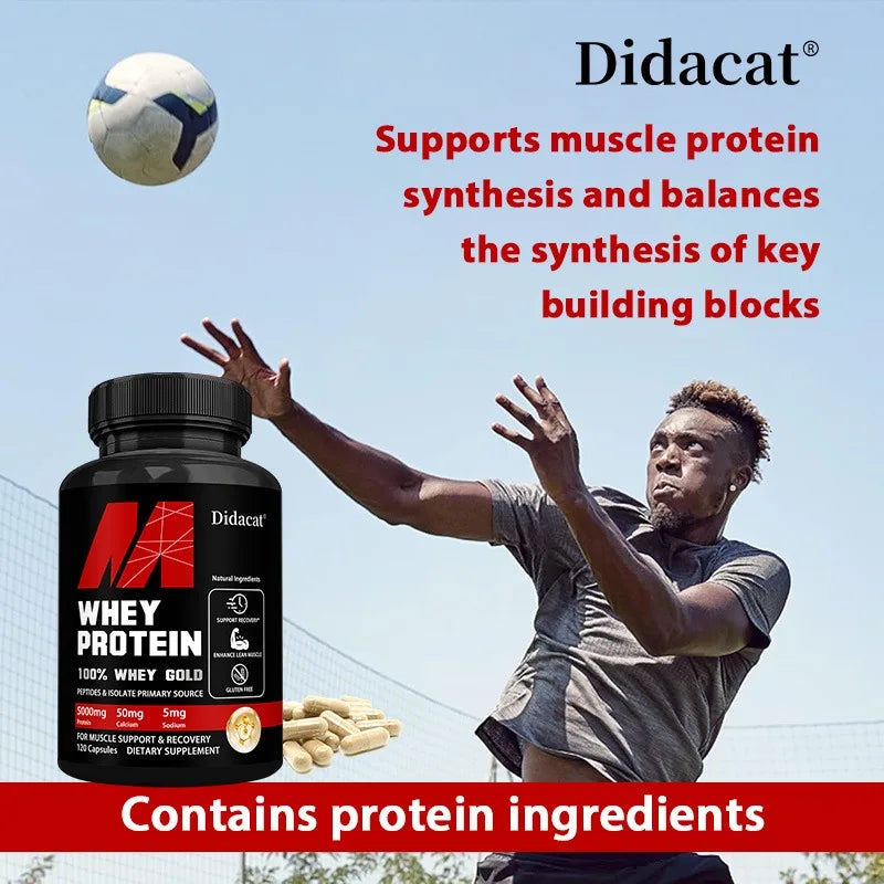 High potency whey protein capsules for unisex adult daily nutrition and wellness.