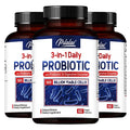 Probiotiques + Prébiotiques + Enzymes Digestives - Favorisent la Flore Intestinale la Santé Digestive des Femmes et des Hommes et Fournissent une Énergie Durable